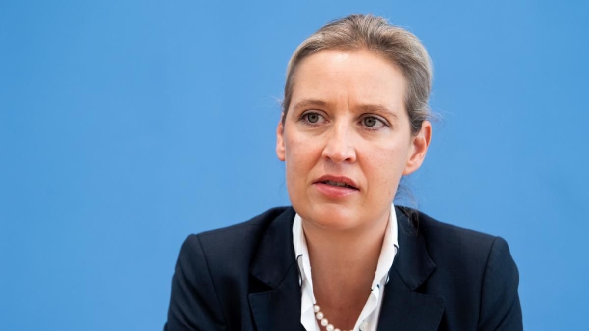 AfD-Chefin Alice Weidel hat sich mit dem Coronavirus infiziert. (Foto)
