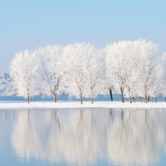 Kältekracher statt Mildwinter? Meteorologen aktualisieren Prognose