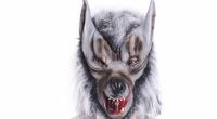 Ein mit Wolfsmaske getarnter Mann vergewaltigte 2019 ein Mädchen (11) in München. Zu Prozessbeginn kommt Schreckliches ans Licht