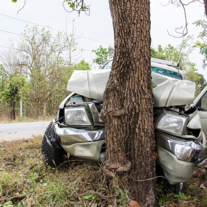 Grünen-Politikerin (34) stirbt bei Horror-Crash