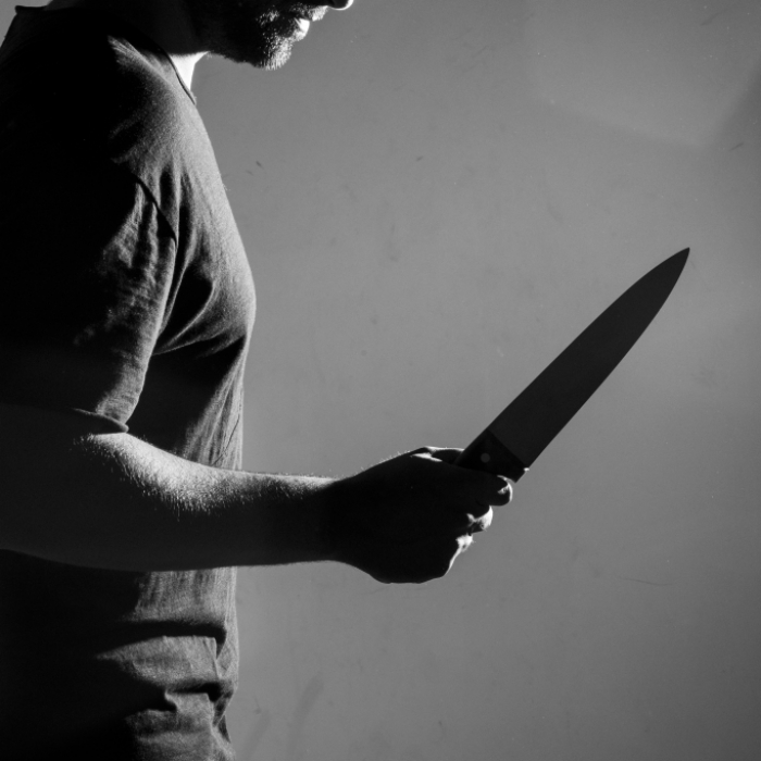 Teenager (19) schlachtet Schwestern ab