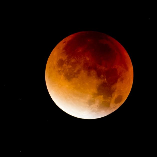 DIESE Mondfinsternis dürfen Sie nicht verpassen