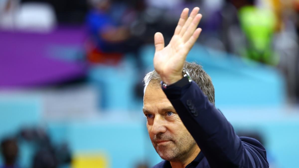 Fu&szlig;ball-Fans fordern den R&uuml;cktritt von Bundestrainer Hansi Flick. (Foto)