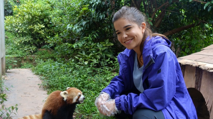 Anna und die wilden Tiere bei Das Erste