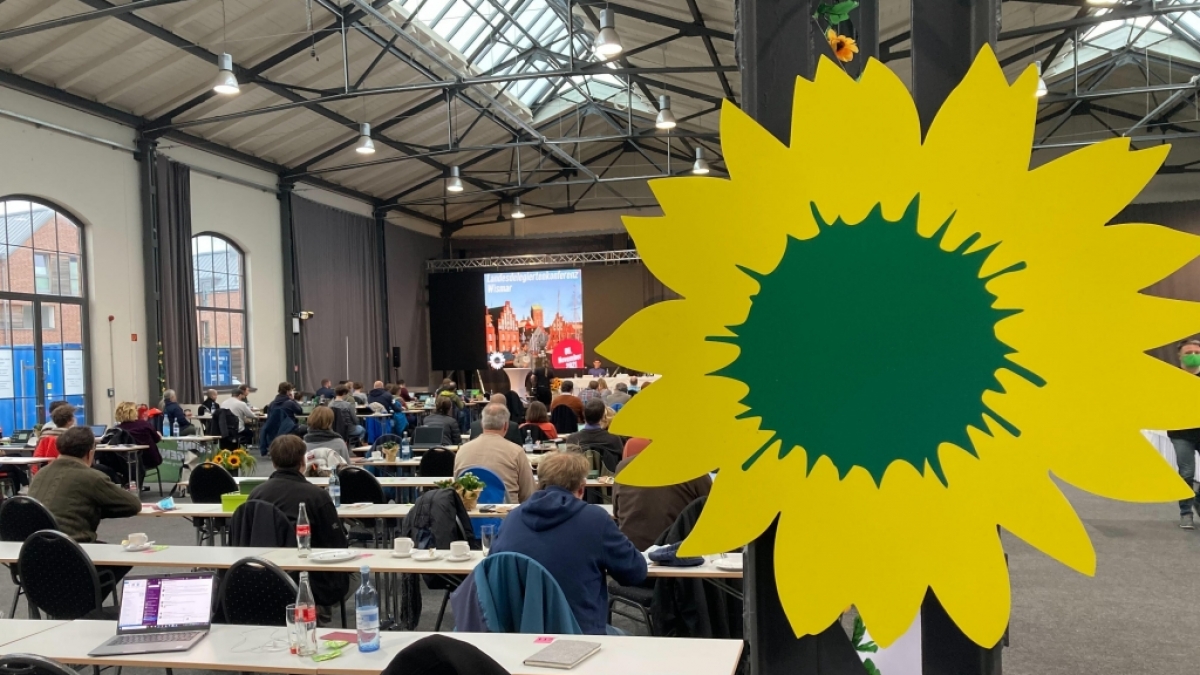 Die Gr&uuml;nen erhielten eine Gro&szlig;spende &uuml;ber 35.000 Euro (Symbolbild). (Foto)
