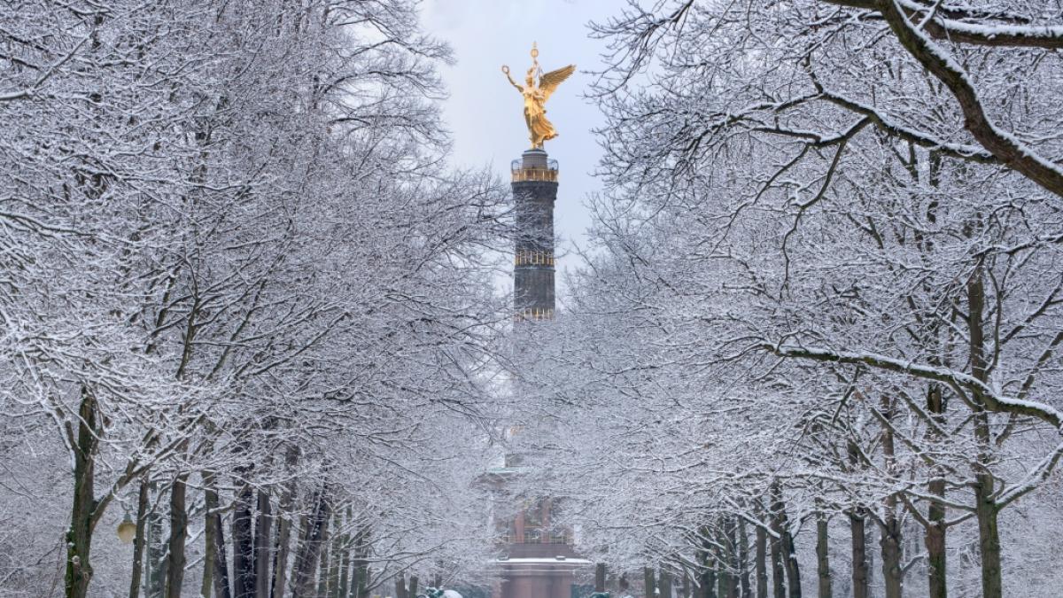 Steht uns ein Winter ohne Schnee bevor? (Foto)