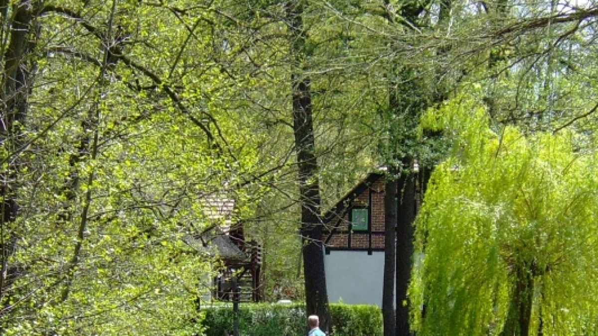 Die lagunenartige Flusslandschaft des Spreewalds besteht aus einem Netz von 970 Kilometern Flie&szlig;gew&auml;ssern. Von vielen Orten aus starten traditionelle Kahnfahrten durch das Wasserlabyrinth. (Foto)