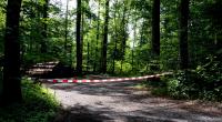 Die 13-Jährige wurde von ihren Freunden in den Wald gelockt.