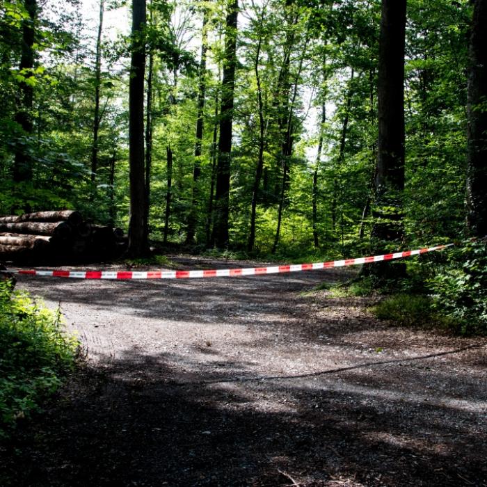 13-Jährige von Freund (16) mit Hammer erschlagen und erdrosselt
