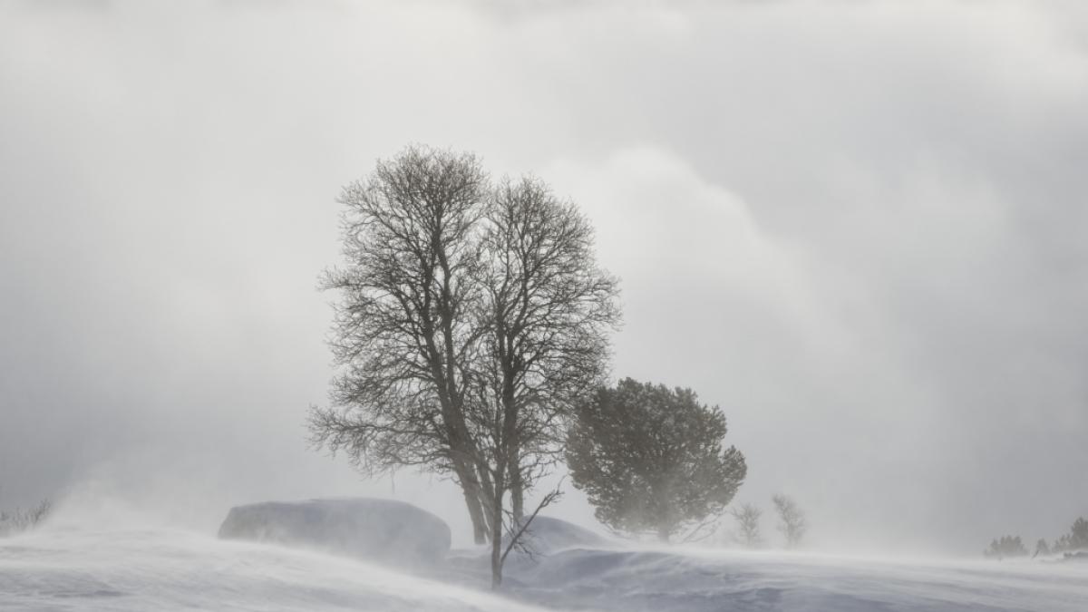 Droht ein Arctic Outbreak? (Foto)