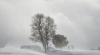 Droht ein Arctic Outbreak?