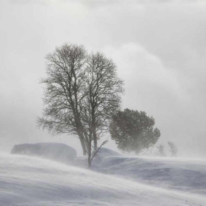 Bis zu 30 Zentimeter Neuschnee - Wetter-Experte warnt vor einem Arctic Outbreak