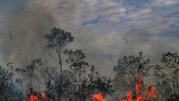 Regen könnte beim Löschen der Waldbrände helfen - doch es bleibt trocken.
