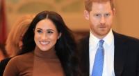 Die Gerüchte werden immer schräger: Haben Meghan Markle und Prinz Harry ihre Kinder Archie und Lilibet nur erfunden?