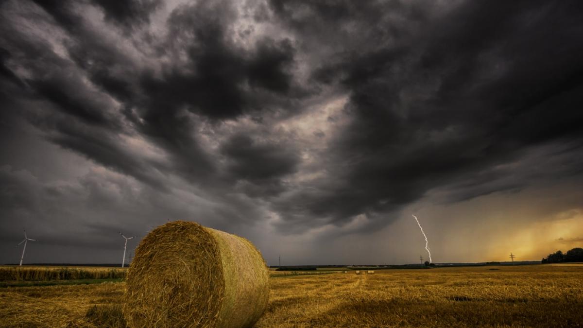 Zeigt sich der Sommer im August&nbsp;endlich? (Foto)