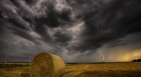 Zeigt sich der Sommer im August endlich?