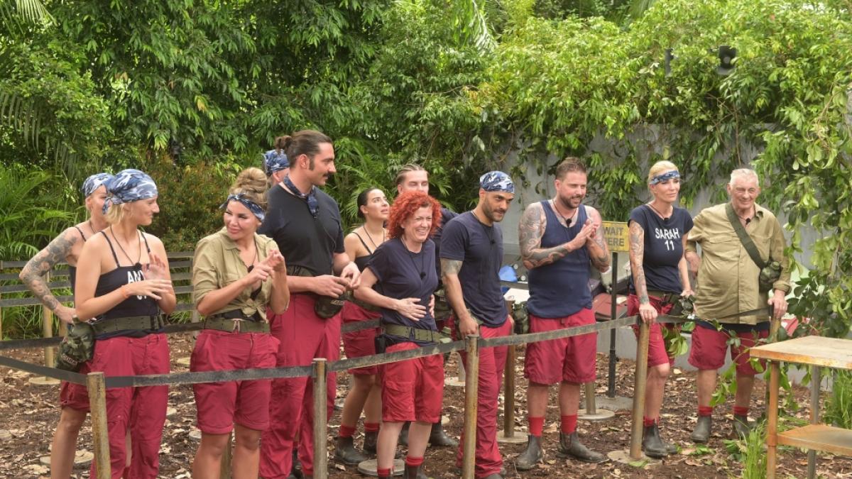 Welcher Promi konnte seinen Marktwert w&auml;hrend des Dschungelcamps steigern? (Foto)