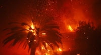 Das Palisades-Feuer verbrennt Bäume und Häuser im Stadtteil Pacific Palisades.