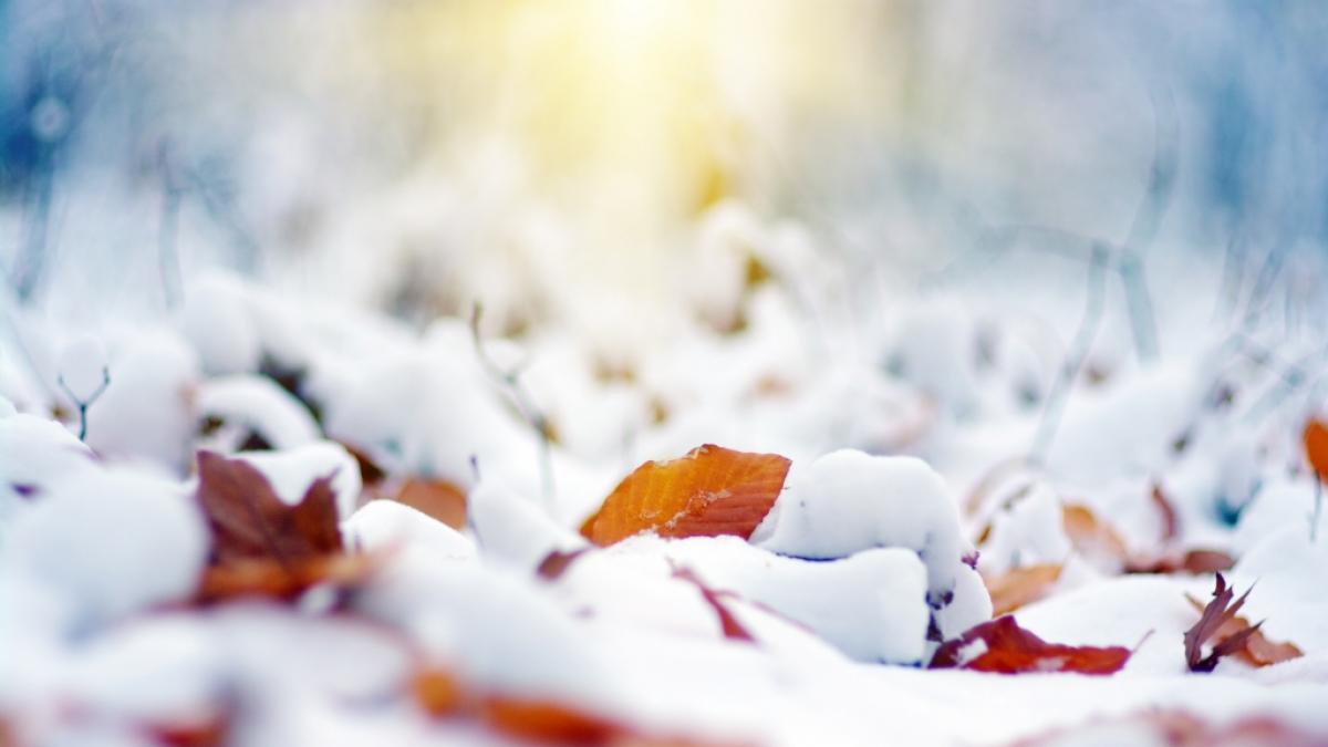 Wie wird das Wetter im November? (Foto)