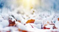 Wie wird das Wetter im November?