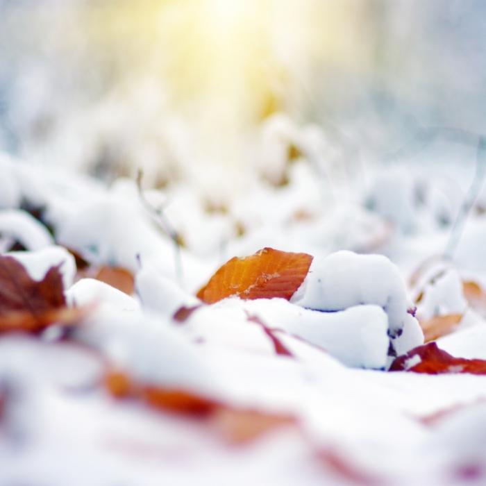 Winter-Schock fürs Flachland? Das prophezeit der 100-jährige Kalender