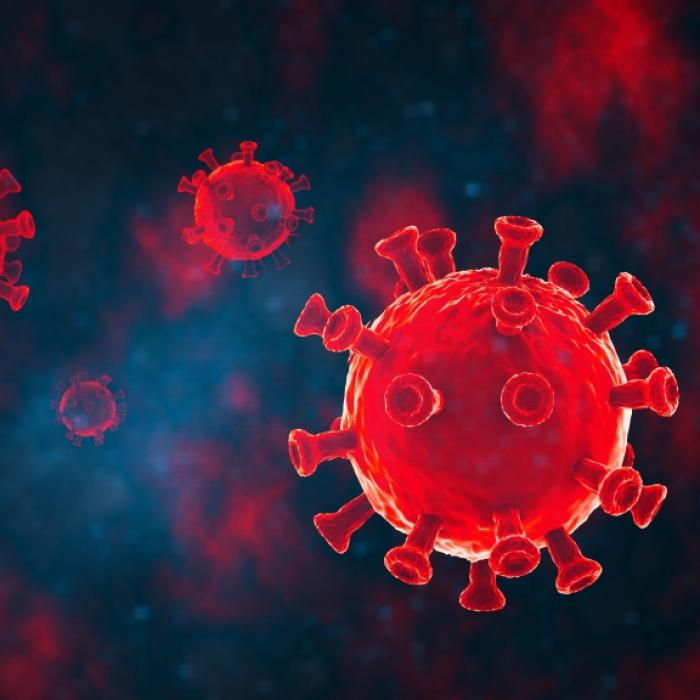 Gefährliches Virus aus Südamerika ist jetzt in Europa angelangt