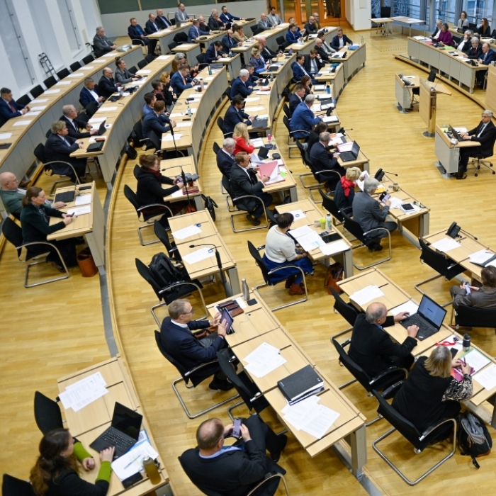Vorschlag der AfD scheitert mit großer Mehrheit im Landtag Sachsen-Anhalt