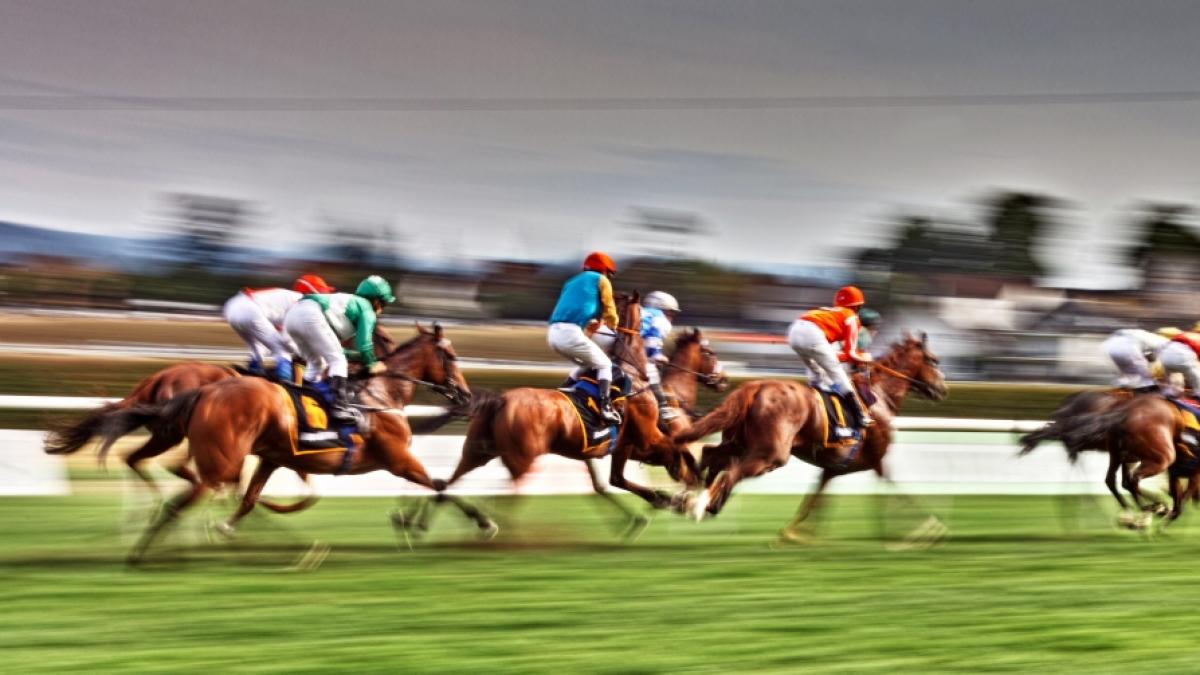 Trauer in der Reitsportwelt: Binnen weniger Wochen sind gleich mehrere Jockeys t&ouml;dlich verungl&uuml;ckt, darunter der Japaner Kota Fujioka und der Italiener Stefano Cherchi (Symbolfoto). (Foto)