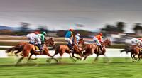Trauer in der Reitsportwelt: Binnen weniger Wochen sind gleich mehrere Jockeys tödlich verunglückt, darunter der Japaner Kota Fujioka und der Italiener Stefano Cherchi (Symbolfoto).