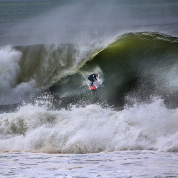 Horror-Attacke! Hai reißt Surfer Arm ab