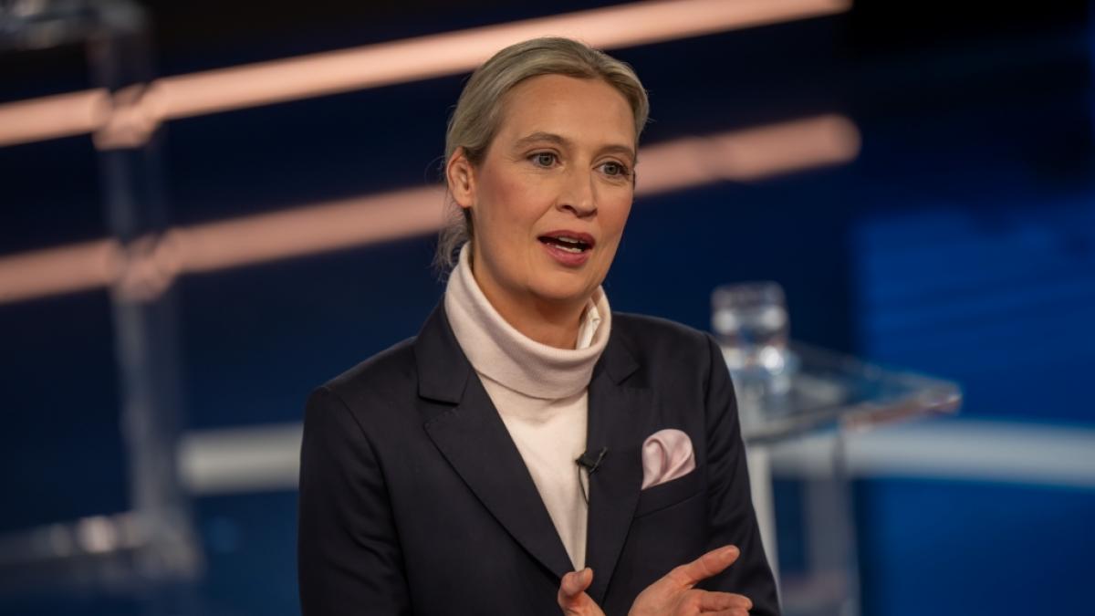 Alice Weidel reagiert in der Wahlsendung "Klartext" ungehalten. (Foto)