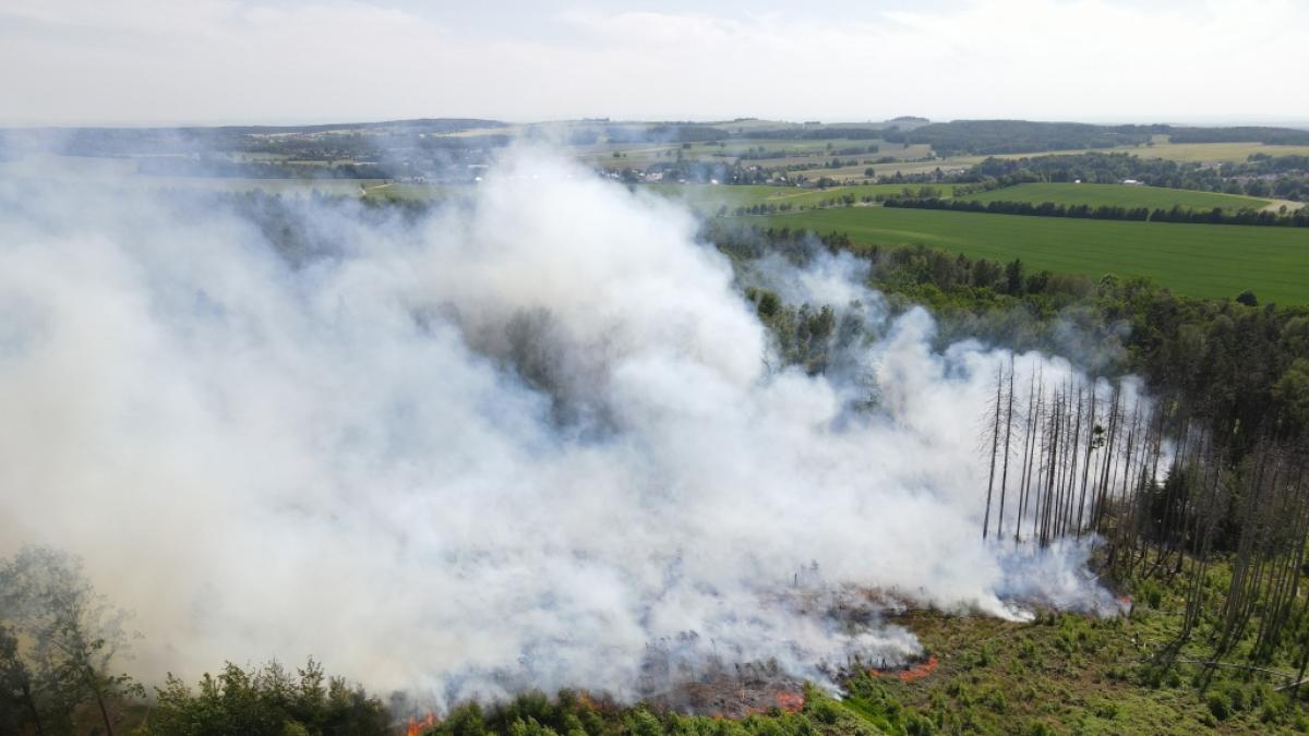 Mit der Hitze steigt auch die Waldbrandgefahr. (Foto)