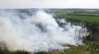 Mit der Hitze steigt auch die Waldbrandgefahr.