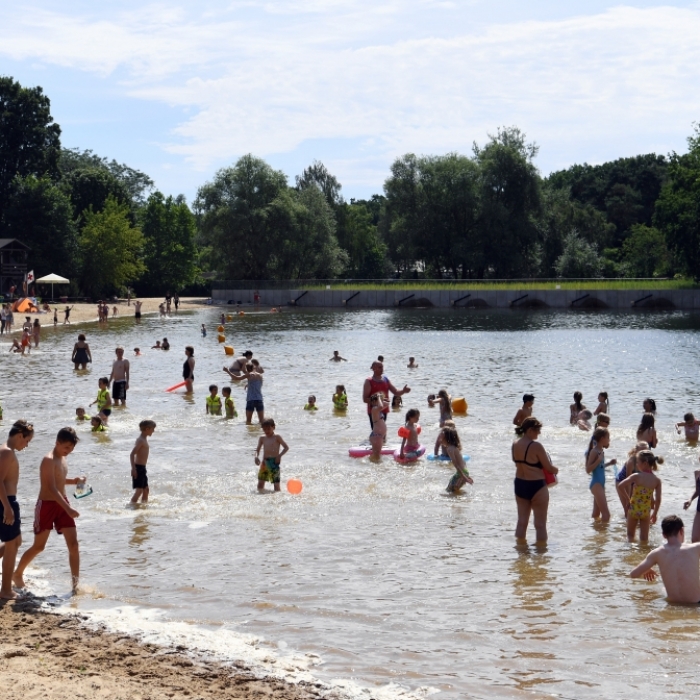 So sind Wassertemperatur und -qualität am Müggelsee