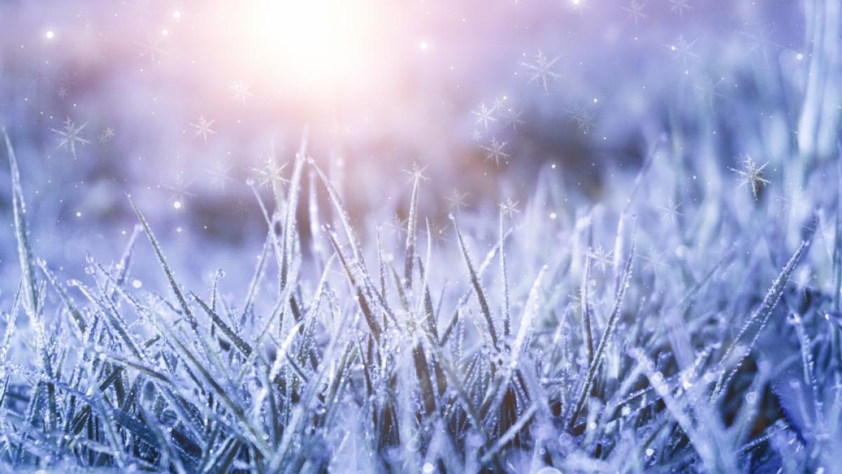 Der M&auml;rzwinter l&auml;sst Deutschland frieren. (Foto)
