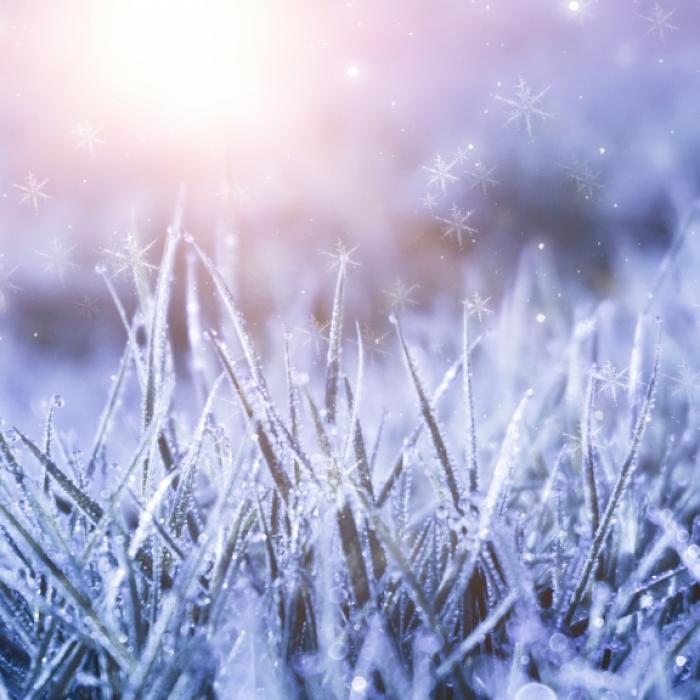 -12 Grad! Polarluft sorgt für Eiszeit in Deutschland