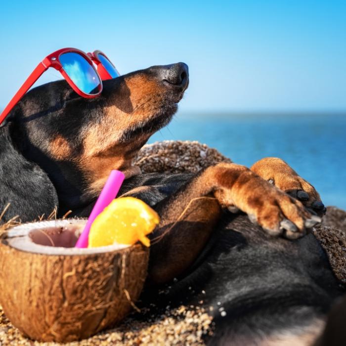 Wann kehrt die Sommer-Hitze zurück? Wetterexperten aktualisieren Prognose