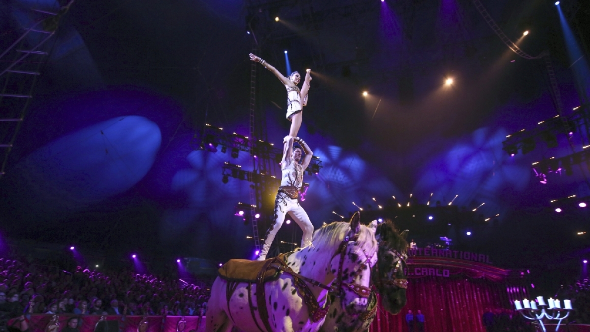 Beim 42. Internationalen Zirkusfestival von Monte Carlo zeigen Weltartisten ihr K&ouml;nnen. (Foto)