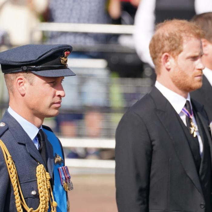 Prinz William steht große Ehre bevor - und Prinz Harry schaut in die Röhre