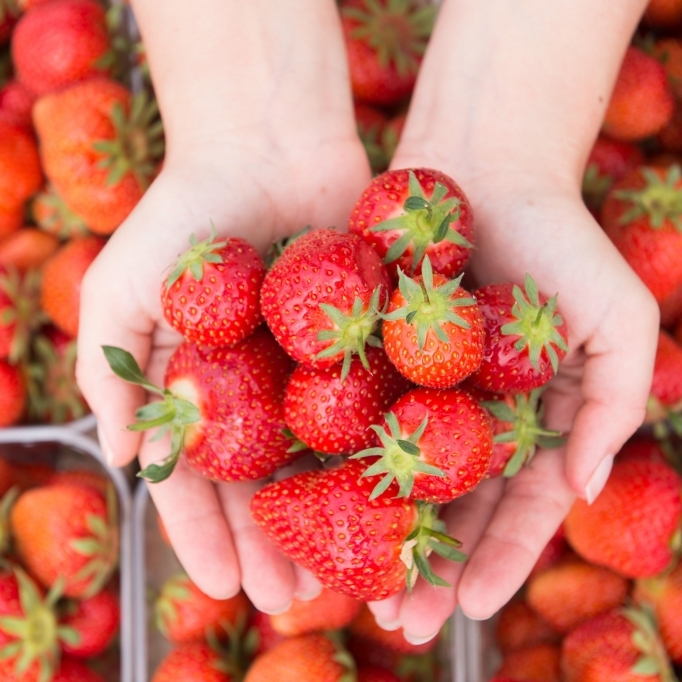 Pestizide bei 70 Prozent der Erdbeeren gefunden