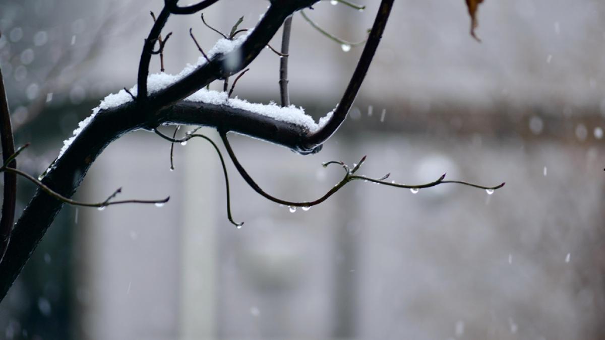 F&auml;llt der Winter in diesem Jahr aus? (Foto)