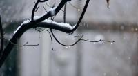 Fällt der Winter in diesem Jahr aus?