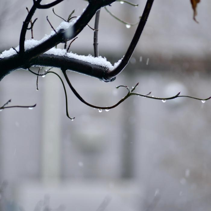 Winter abgesagt! Nur HIER soll es Schnee geben