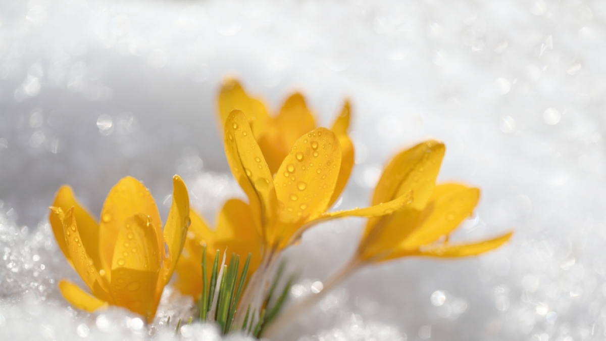 Am Wochenende h&auml;lt nochmal der Winter Einzug in Deutschland. (Foto)