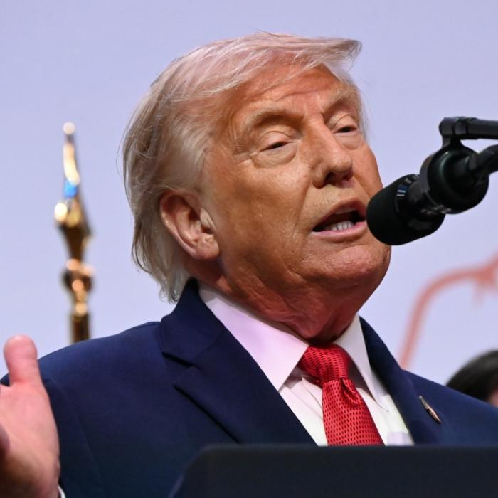 Trump-Denkmal erinnert an Hitler - erneuter Wirbel um Bauprojekt