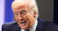 Donald Trump treibt sein milliardenschweres Projekt gegen die asiatische Karpfeninvasion im Michigansee voran.