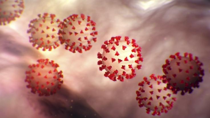 Der neuartige Corona-Virus verbreitet sich weltweit weiter. Täglich werden neue Fälle gemeldet.