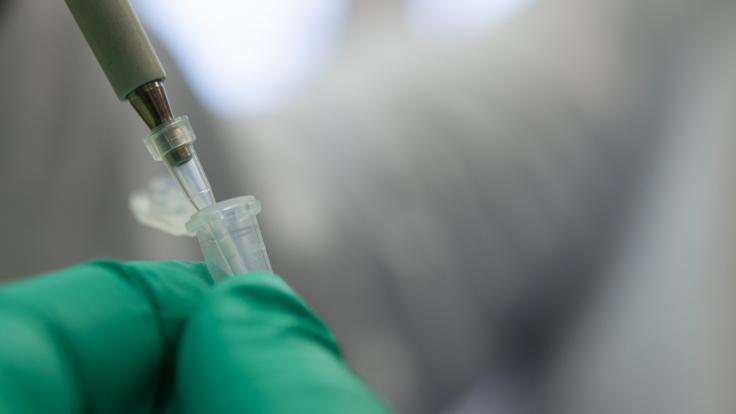 Eine aktuelle Studie aus den USA ist den Auswirkungen von Coronavirus-Mutationen auf den Grund gegangen (Symbolbild).
