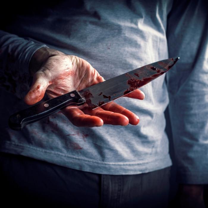 Killer-Bruder (19) trägt abgehackten Kopf von Schwester (29) spazieren