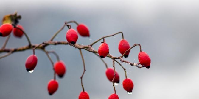 Goldener Oktober endet abrupt